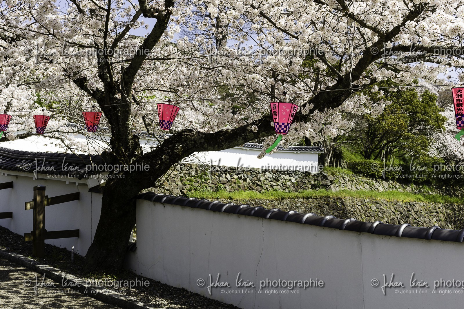 ozu_shikoku_japon_28-03_2014-3269.jpg