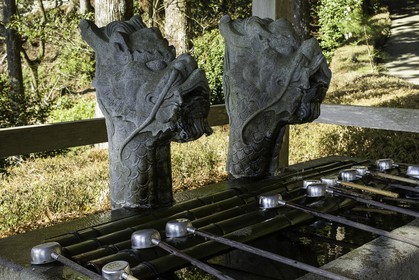 tairyuji_temple-21_shikoku_japon_11-03_2014-2326.jpg