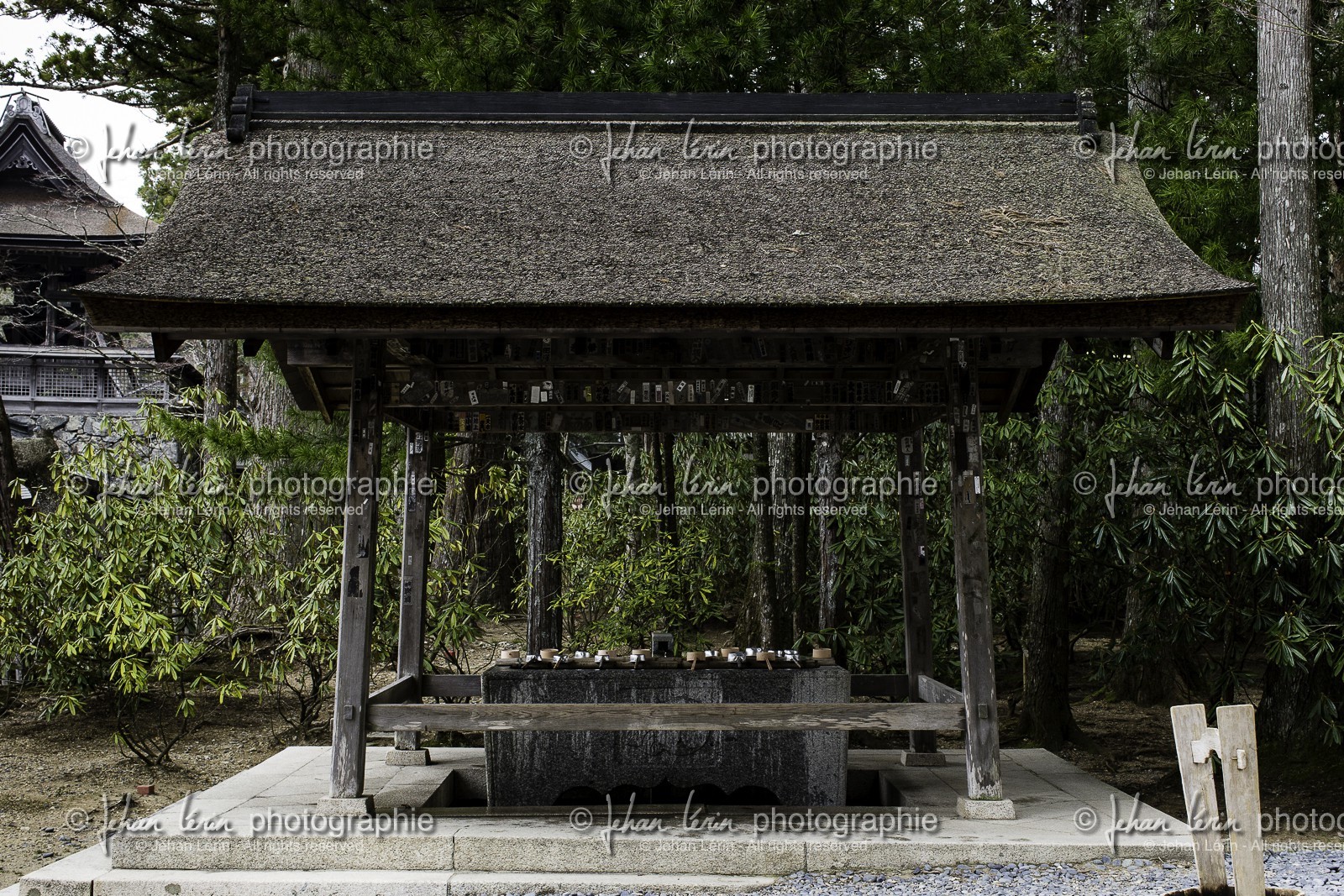koyasan_japon_jl_1dx_16-04-2014-5112.jpg