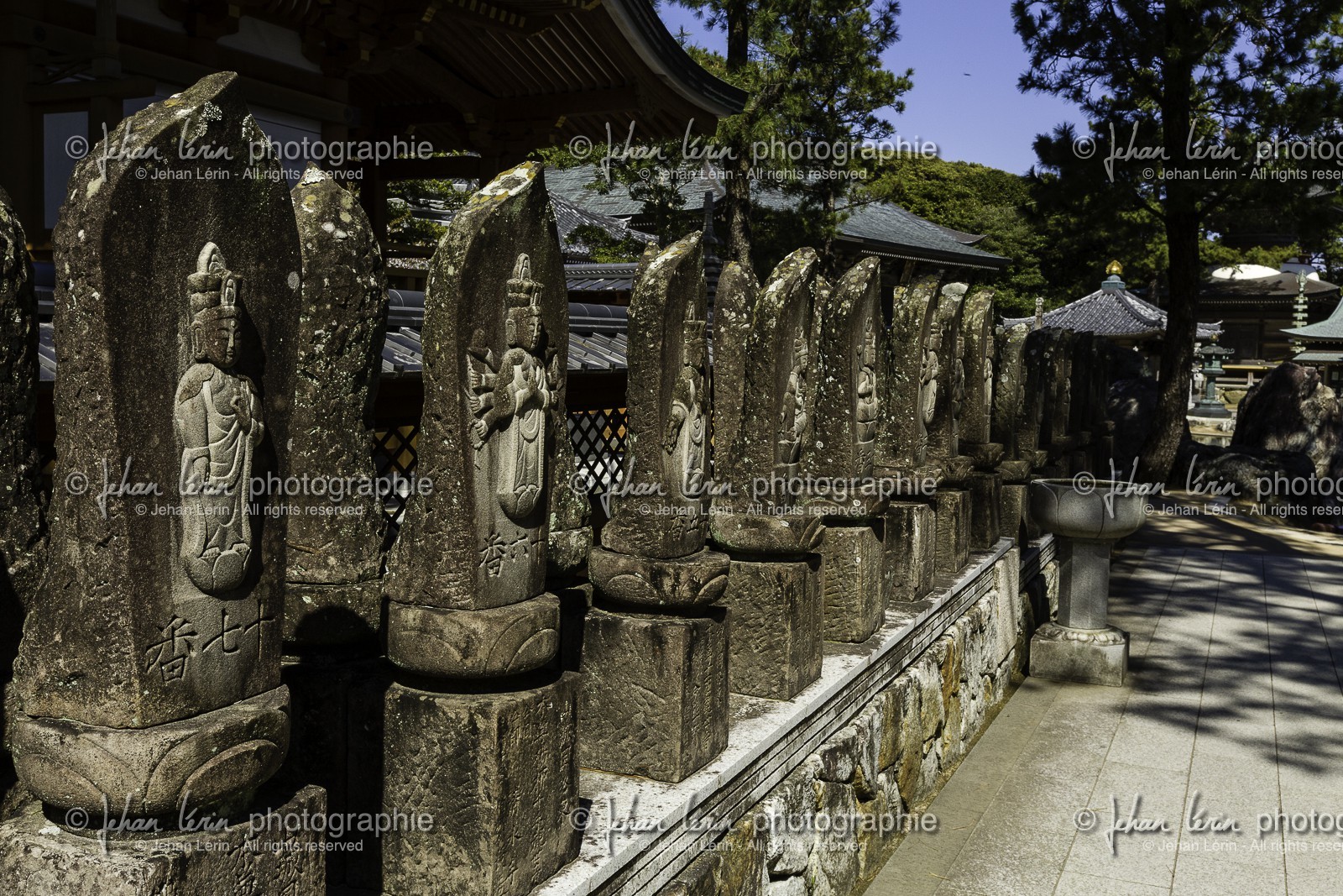 kongofukuji_temple-38_shikoku_japon_21-03_2014-0607.jpg