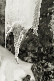 casterino_france_12-01-2013-35835.jpg