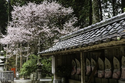 shoryuji_temple-36_shikoku_japon_18-03_2014-2875.jpg