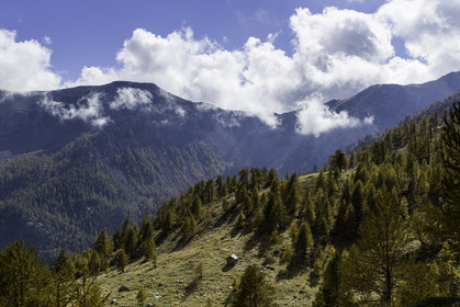 baisse-de-la-vallauretta_11-10-2015-0795.jpg