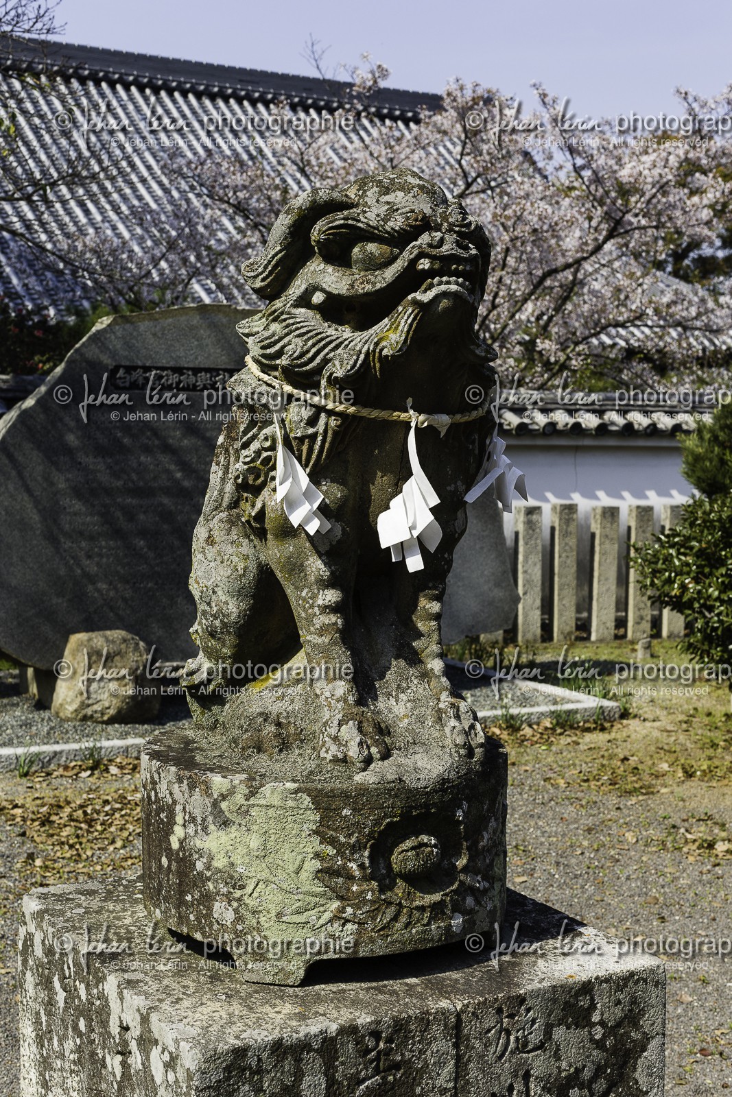 tennoji_temple-79_shikoku_japon_08-04_2014-4371.jpg