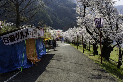 trim-park_en-route-vers_temple-65_shikoku_japon_03-04_2014-3768.jpg