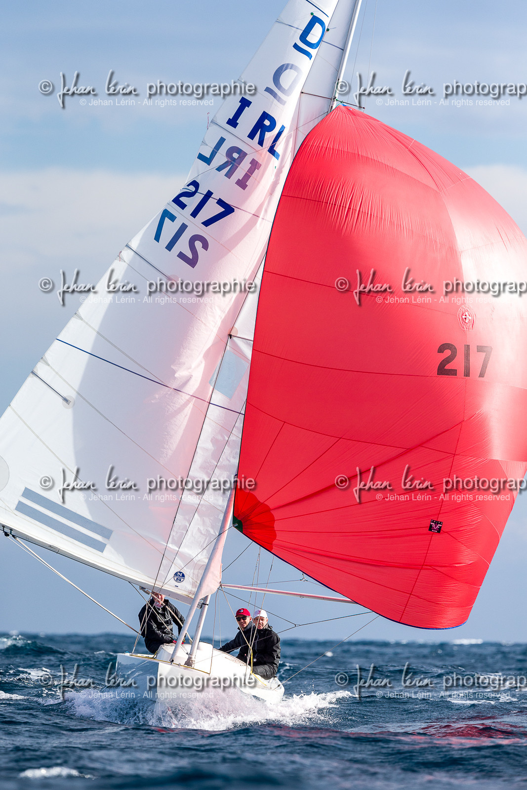 Armistice Cup Dragon 2022