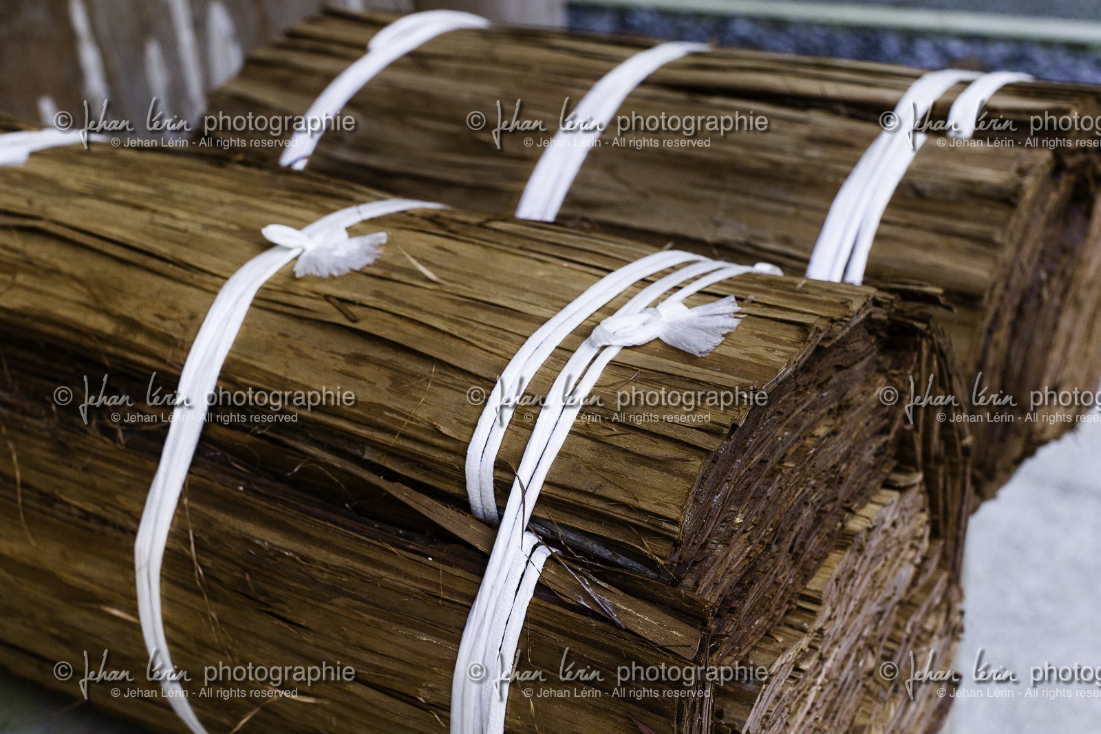 meisekiji_temple-43_shikoku_japon_27-03_2014-3226.jpg