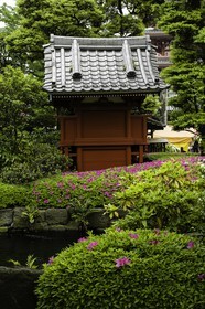 asakusa_tokyo_japon_jl_1dx_05-05-2014-6307.jpg