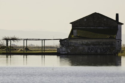 l-albufera_valencia_18-01-2012-0046.jpg