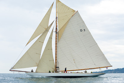 Les Dames de St Tropez