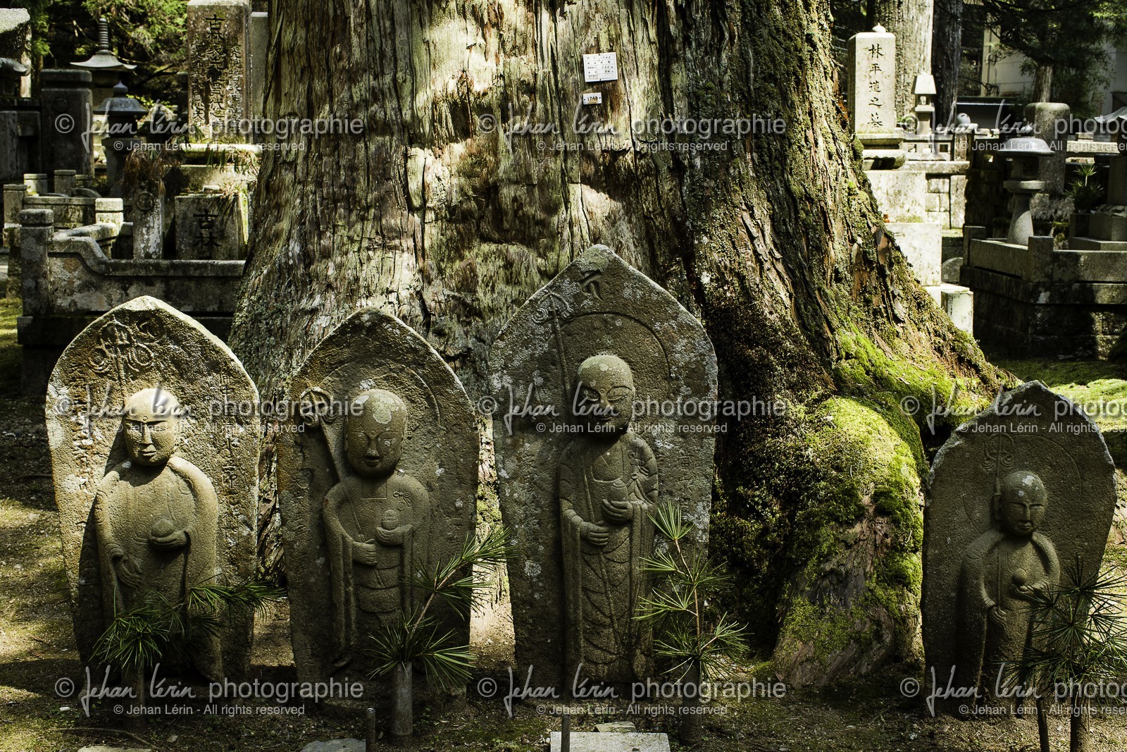 koyasan_japon_jl_1dx_17-04-2014-5295.jpg