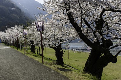 trim-park_en-route-vers_temple-65_shikoku_japon_03-04_2014-3772.jpg