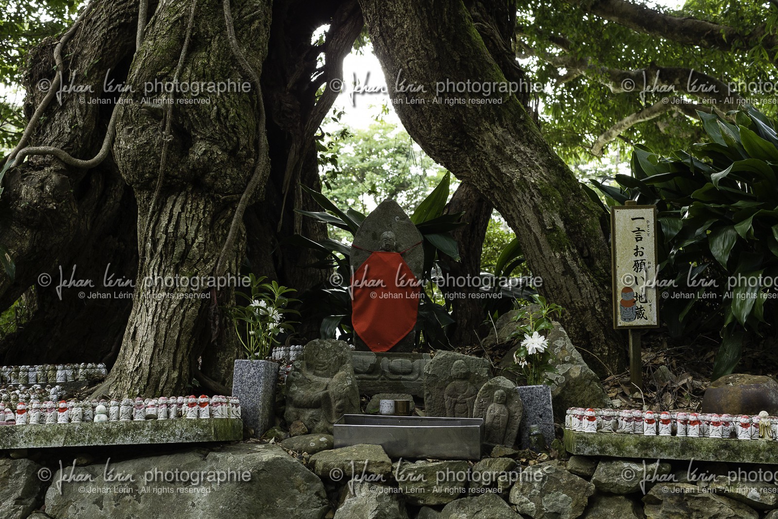 cap-muroto_hotsumisakiji_temple-24_shikoku_japon_14-03_2014-2524.jpg
