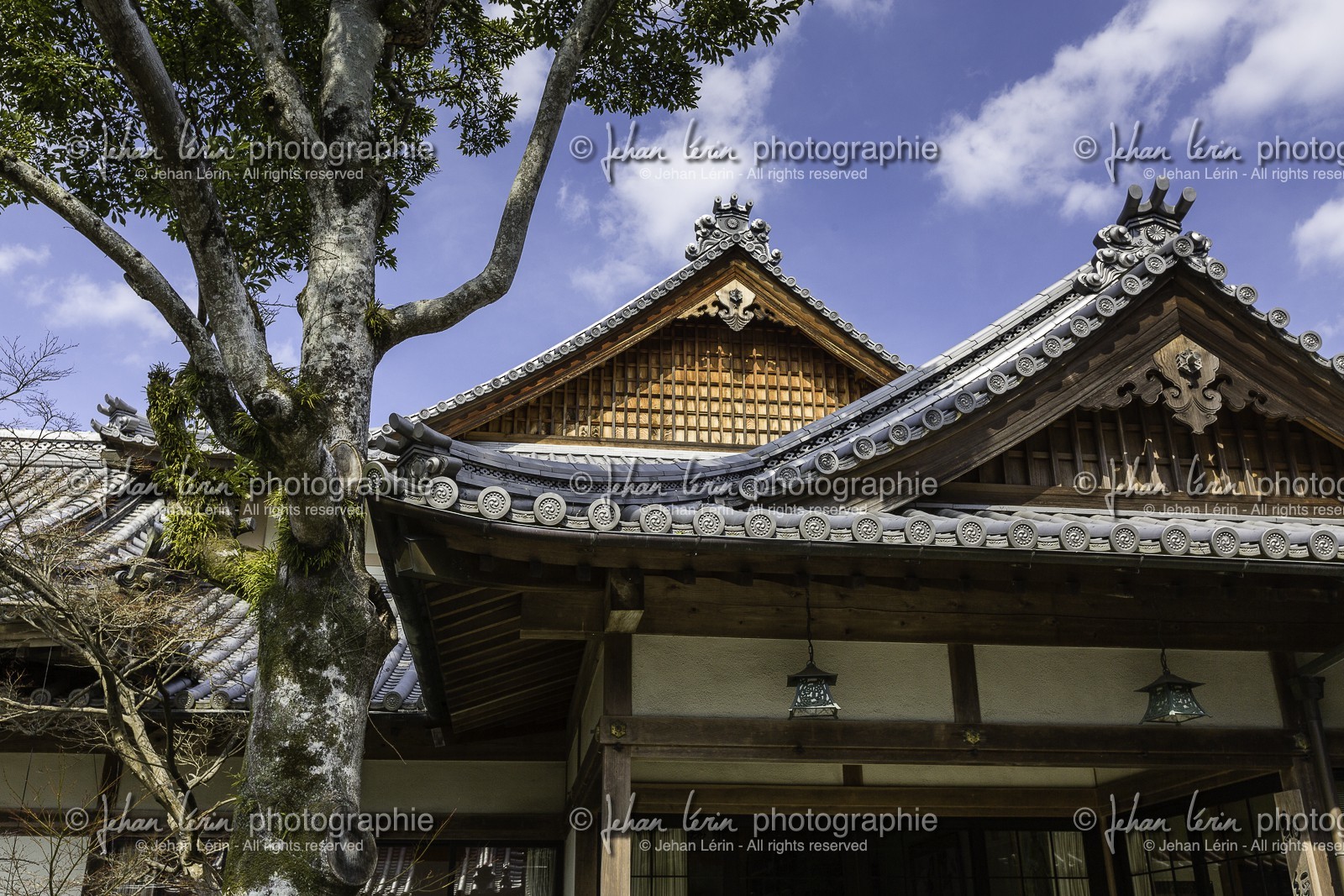 dainichiji_temple-13_shikoku_japon_08-03_2014-0388.jpg