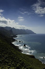 tenerife_avril_2010-0838.jpg