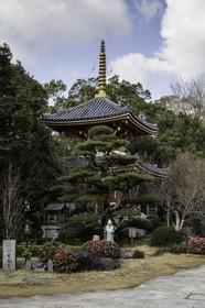 anrakuji_temple-6_shikoku_japon_06-03_2014-1799.jpg