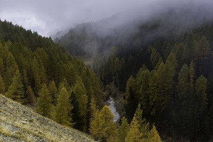 lac-de-lignin_peyresq_17-10-2015-0993.jpg