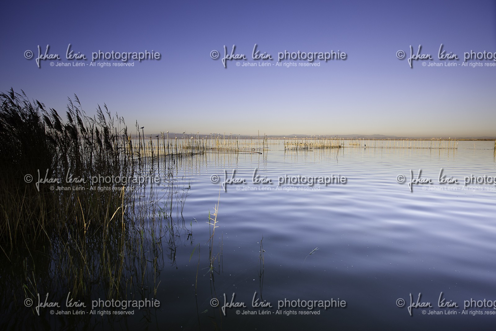 l-albufera_valencia_18-01-2012-0072.jpg