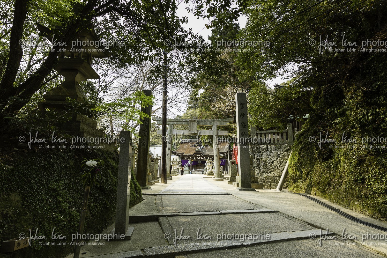 yakuriji_temple-85_shikoku_japon_10-04_2014-1165.jpg