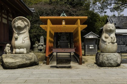 yashimaji_temple-84_shikoku_japon_10-04_2014-4565.jpg