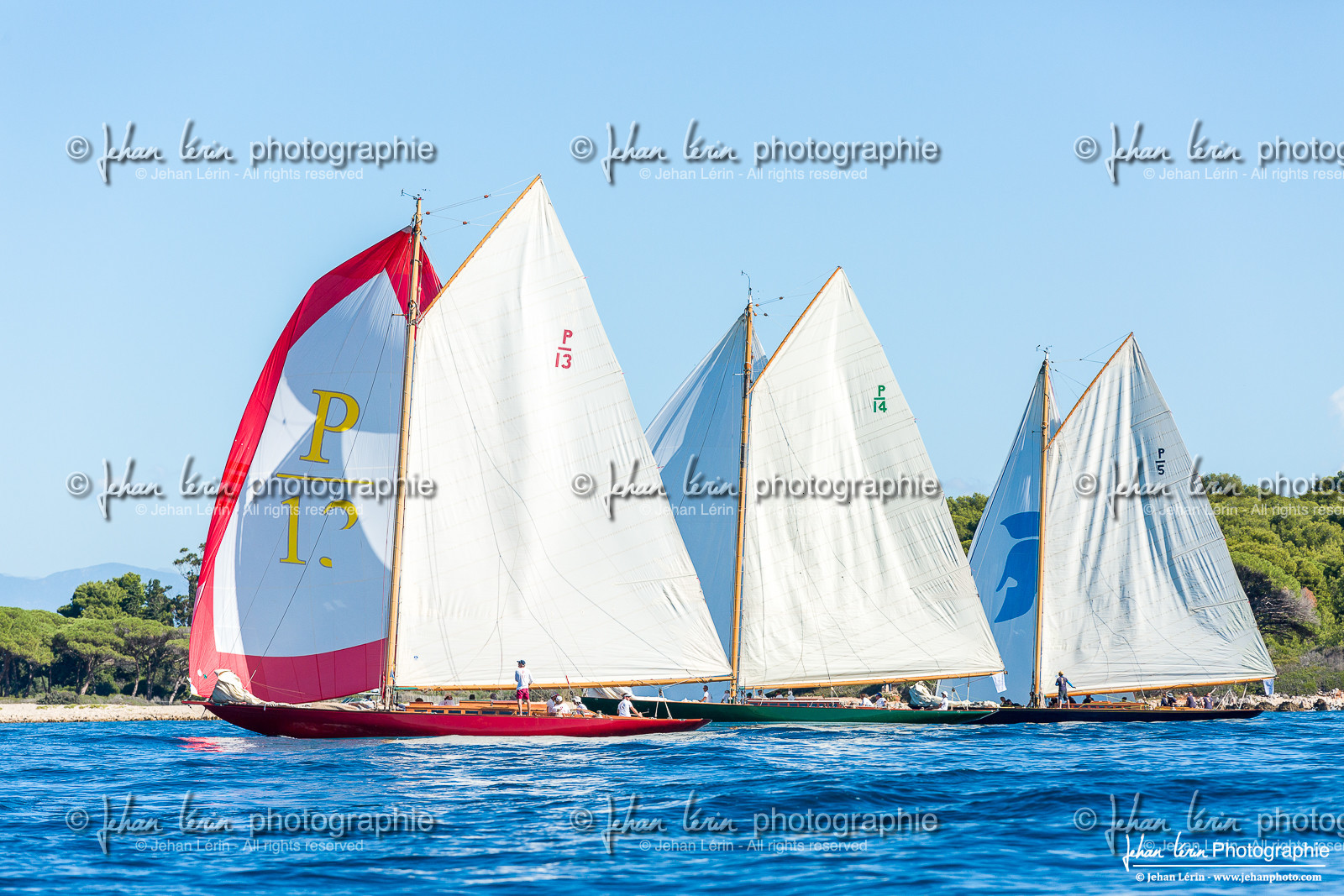 Régates Royales 2024