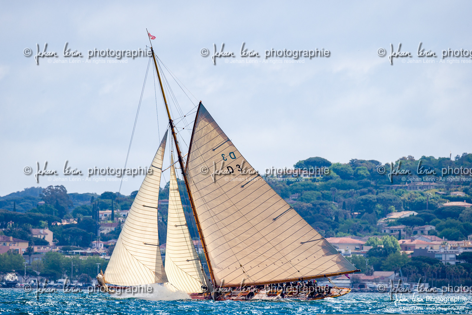 Les Dames de St Tropez