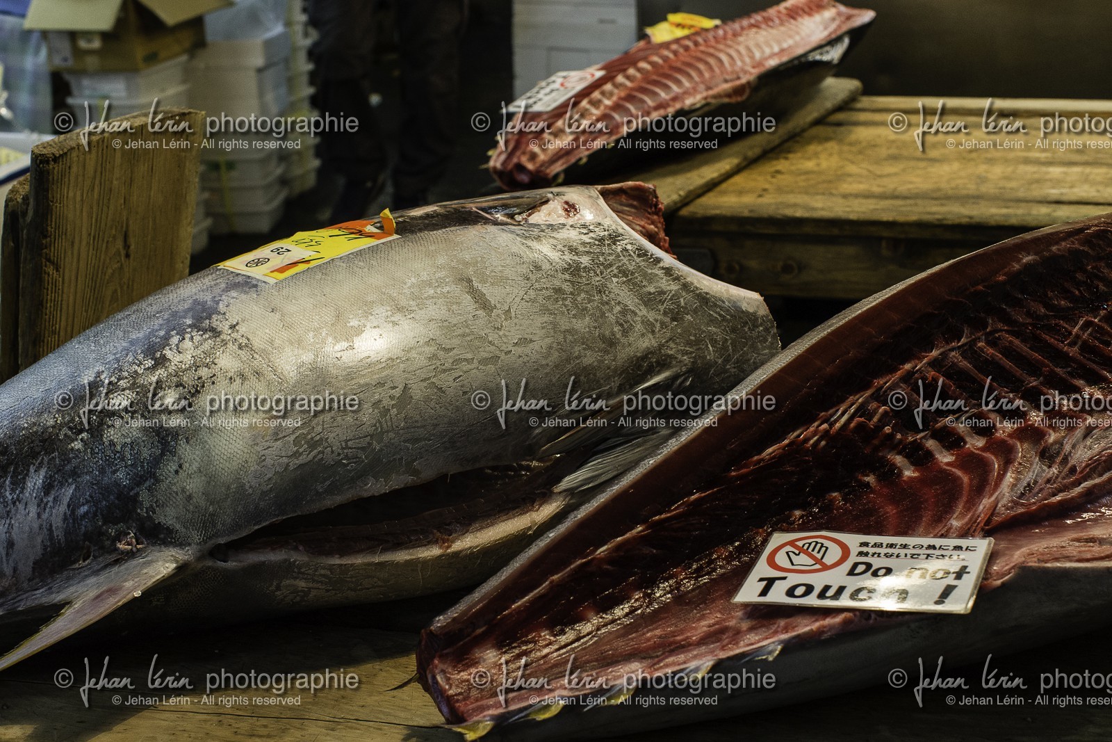 tsukiji-fish-market_tokyo_japon_jl_1dx_08-05-2014-6577.jpg