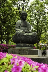 asakusa_tokyo_japon_jl_1dx_05-05-2014-6293.jpg