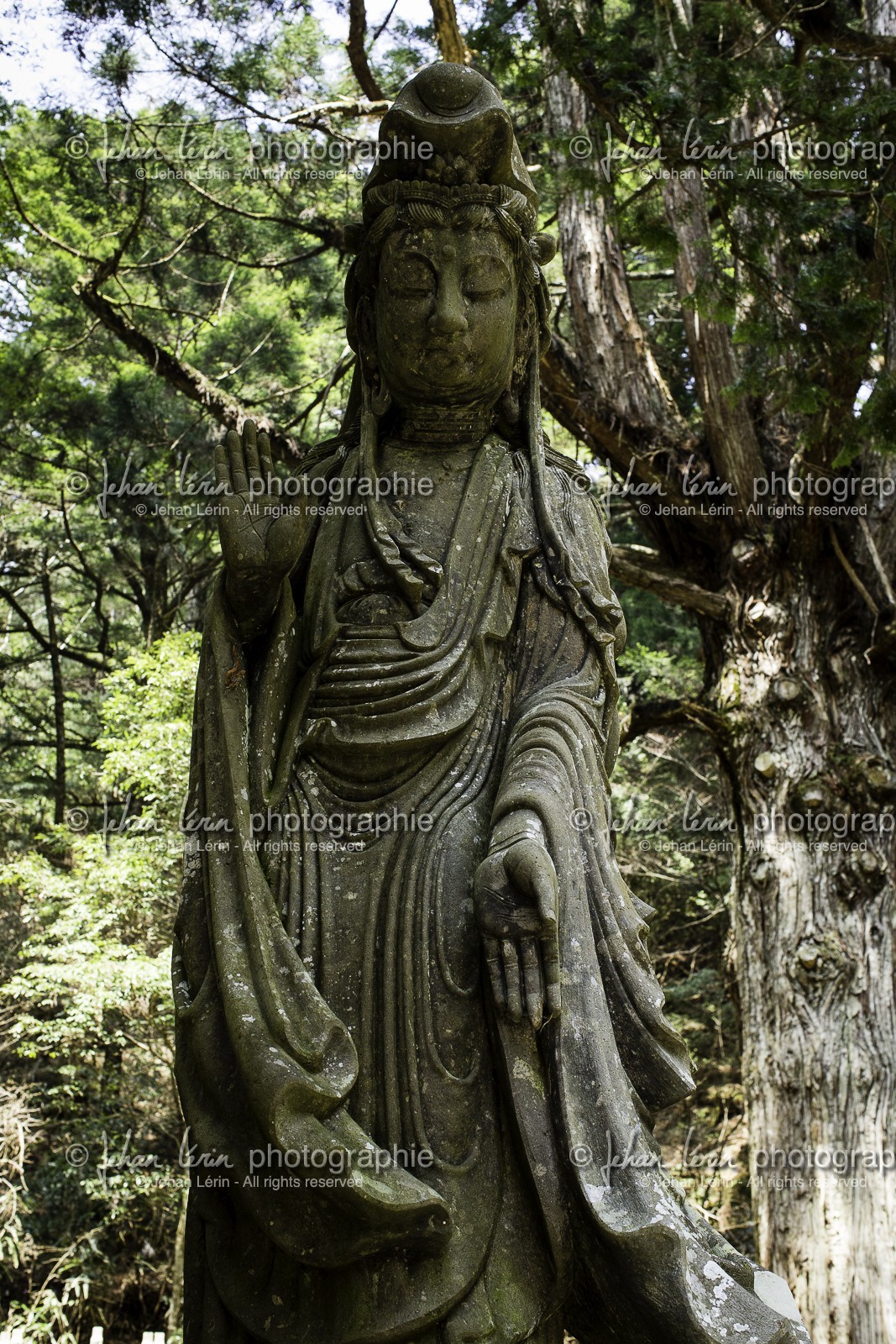 koyasan_japon_jl_1dx_17-04-2014-5256.jpg