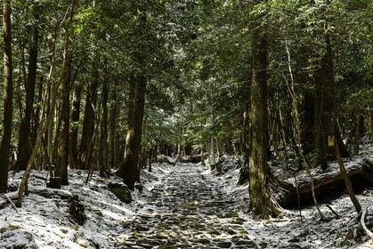 en-route-vers_kakurinji_temple-20_shikoku_japon_10-03_2014-2278.jpg