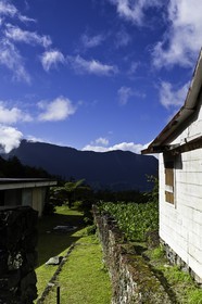 ile-de-la-reunion_aout-2009-4400.jpg