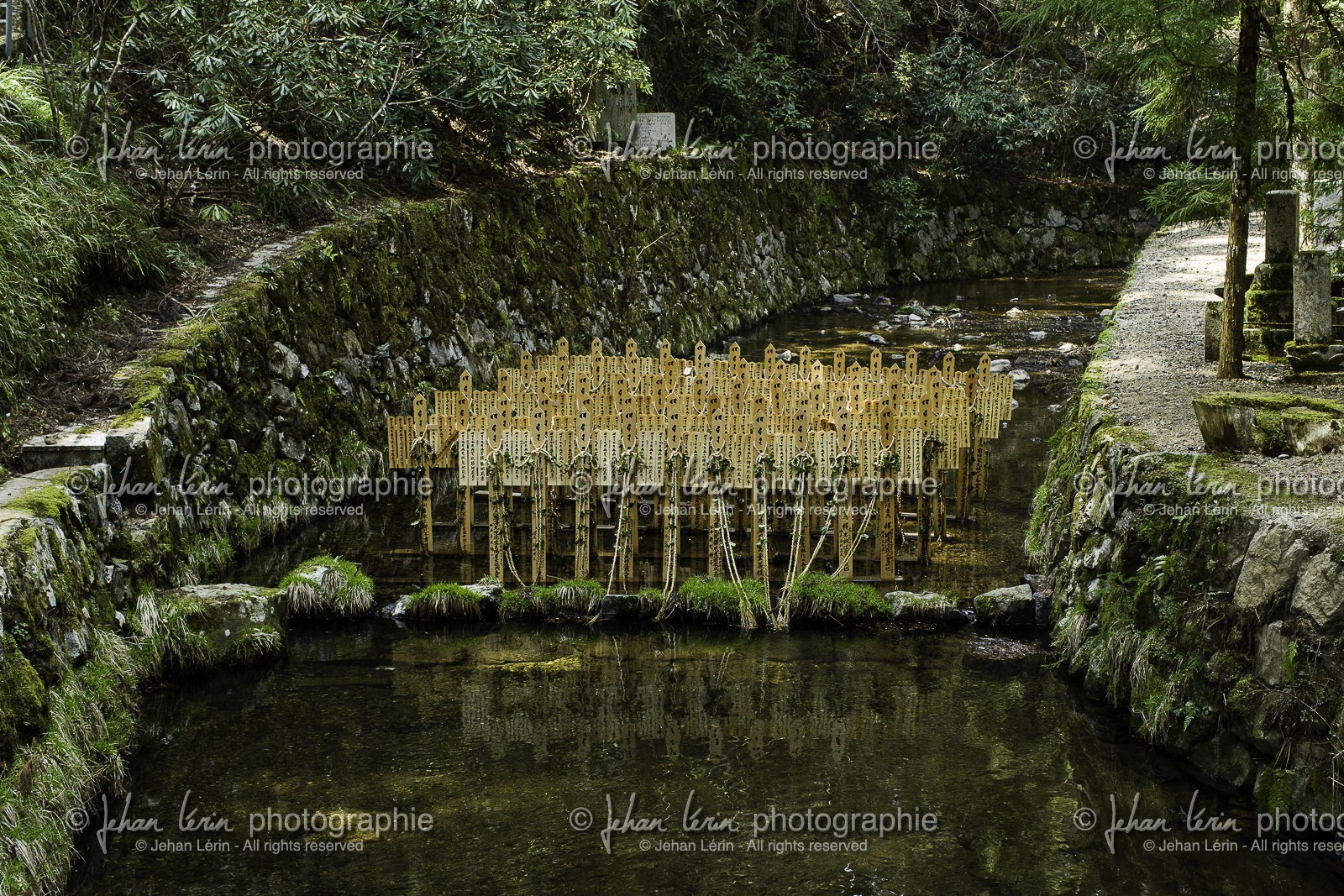koyasan_japon_jl_1dx_17-04-2014-5292.jpg