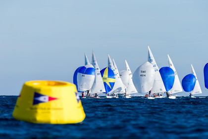 Armistice Cup Dragon 2022