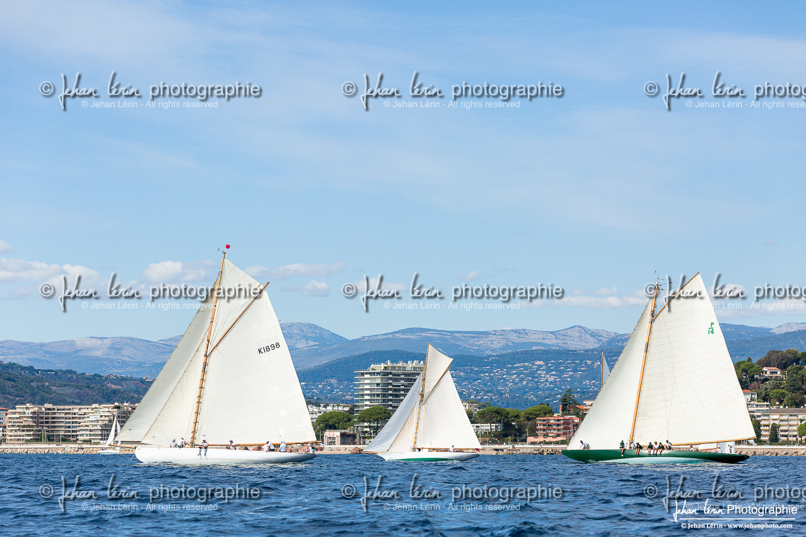 Régates Royales 2025