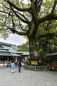kumano-nachi-taisha_kumano-kodo-pilgrimage_japon_25-04-2014-1456.jpg