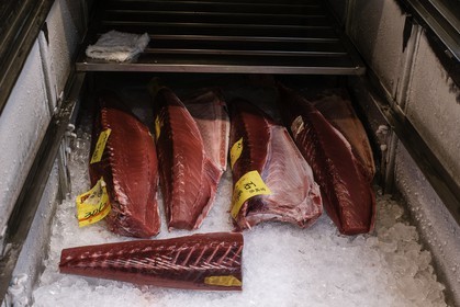 tsukiji-fish-market_tokyo_japon_jl_1dx_08-05-2014-6574.jpg