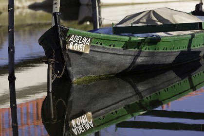 l-albufera_valencia_23-12-2009-7394.jpg