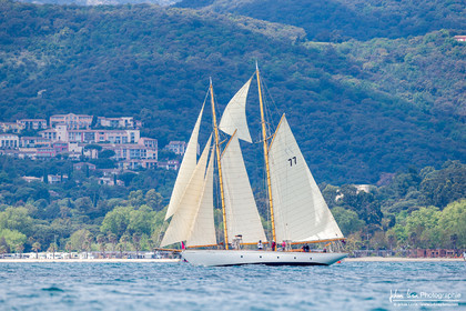 Les Dames de St Tropez