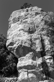 gourdon_jl_1dx_06-02-2017-0594.jpg