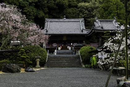 hantaji_temple-50_shikoku_japon_30-03_2014-3439.jpg