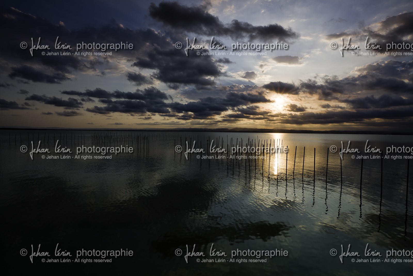 l-albufera_valencia_24-09-2011-0003.jpg