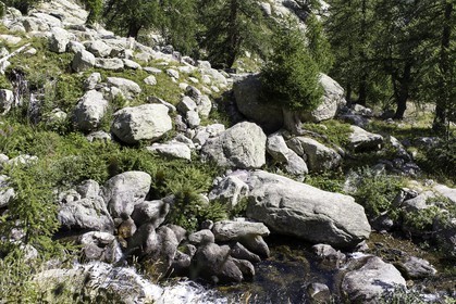 la-vallee-des-merveilles_08-08-2015-9195.jpg