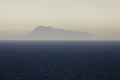 _76i9532.jpg