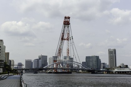 bridge_tsukiji-fish-market_tokyo_japon_jl_1dx_08-05-2014-6614.jpg