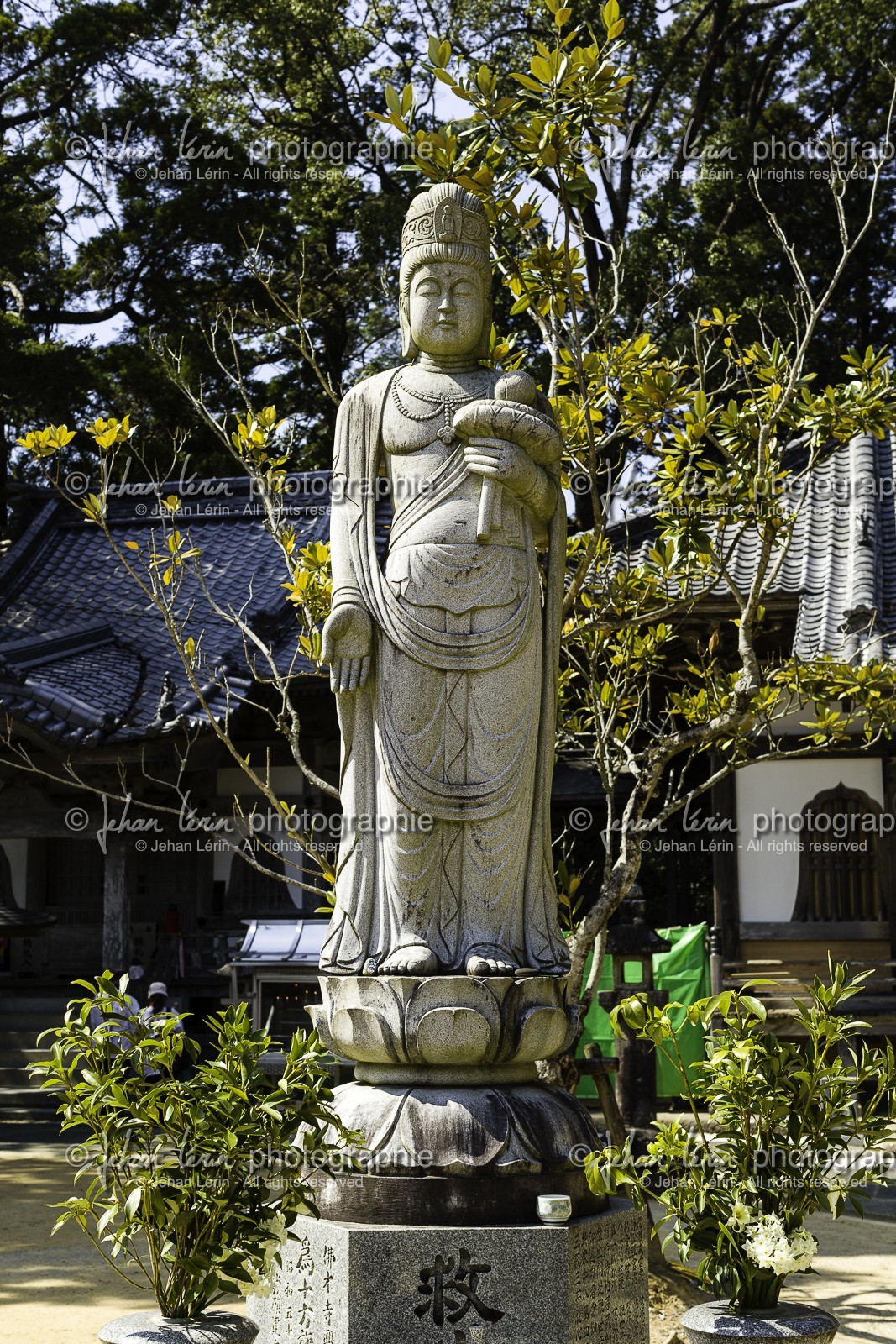 butsumokuji_temple-42_shikoku_japon_24-03_2014-3122.jpg
