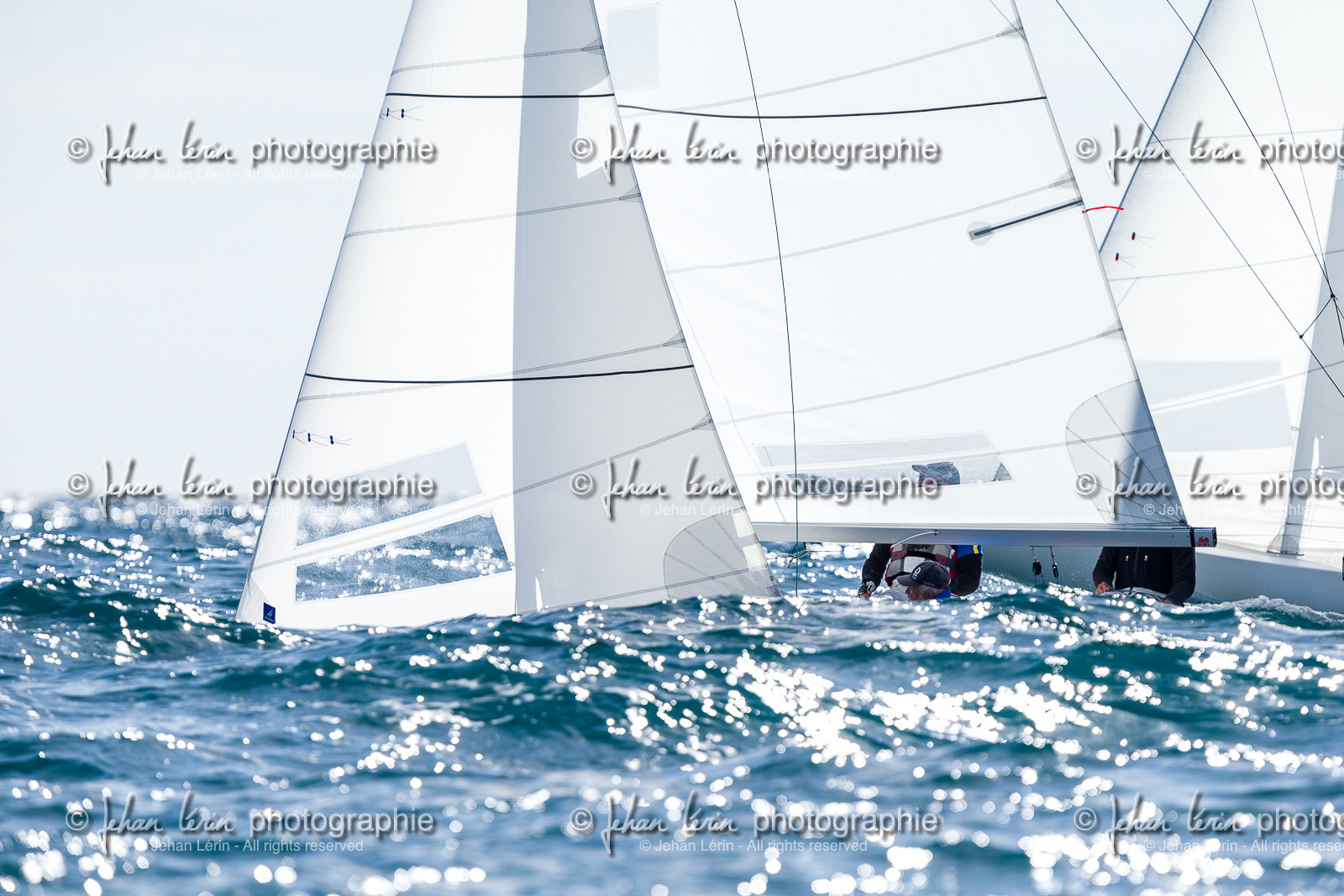 Coupe du Commodore 2023