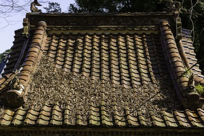 meisekiji_temple-43_shikoku_japon_27-03_2014-3240.jpg