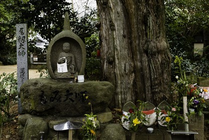 joruriji_temple-46_shikoku_japon_29-03_2014-3333.jpg