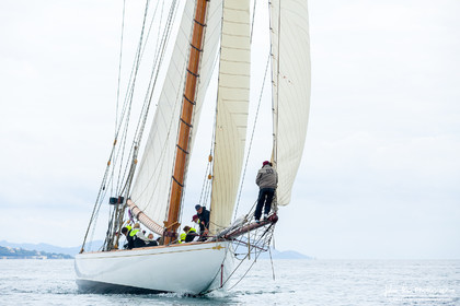 Les Dames de St Tropez