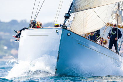 Les Dames de St Tropez